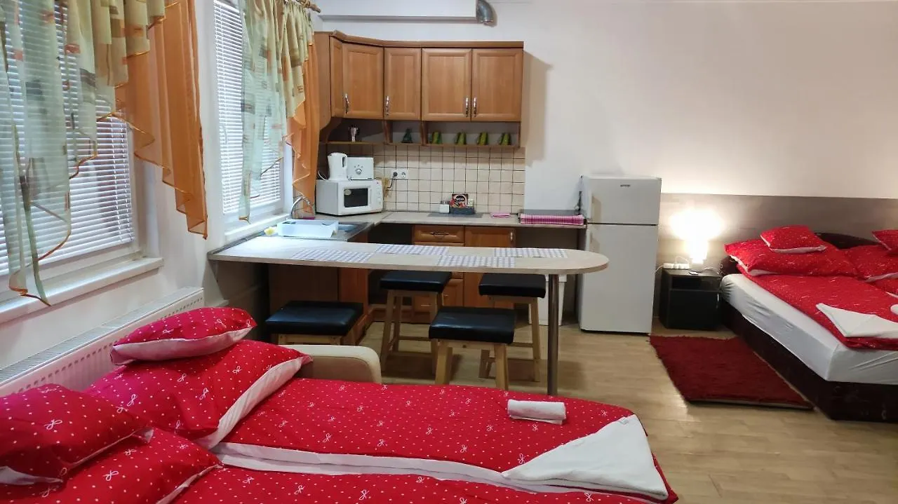 アパート Ketto Ciprus Apartman ハイデゥソボスロー ハンガリー